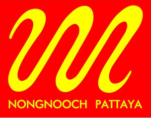 nongnooch logo